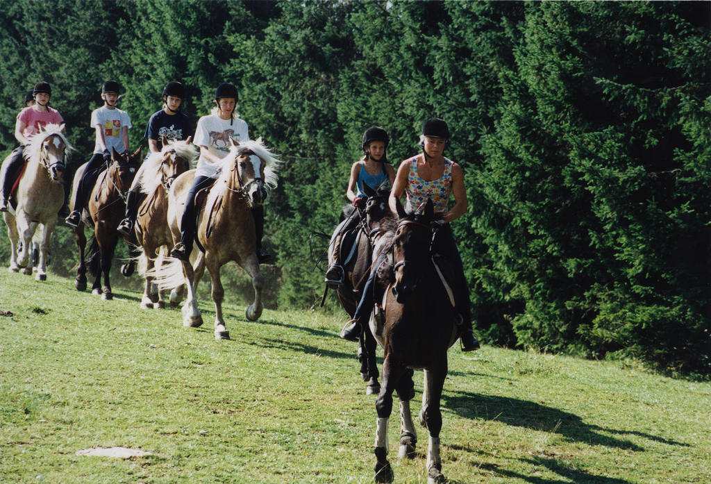 Sportgasthof Lipp Lederwinkel 외부 사진